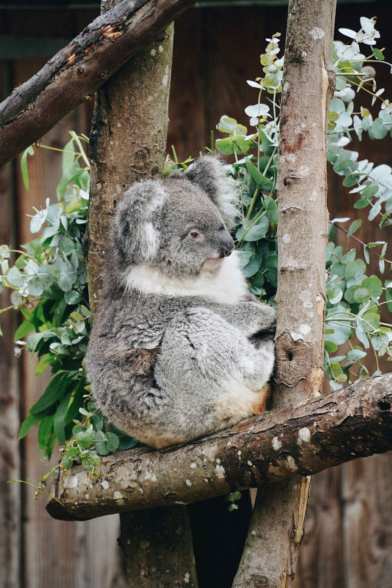 Have Confidence In Yourself